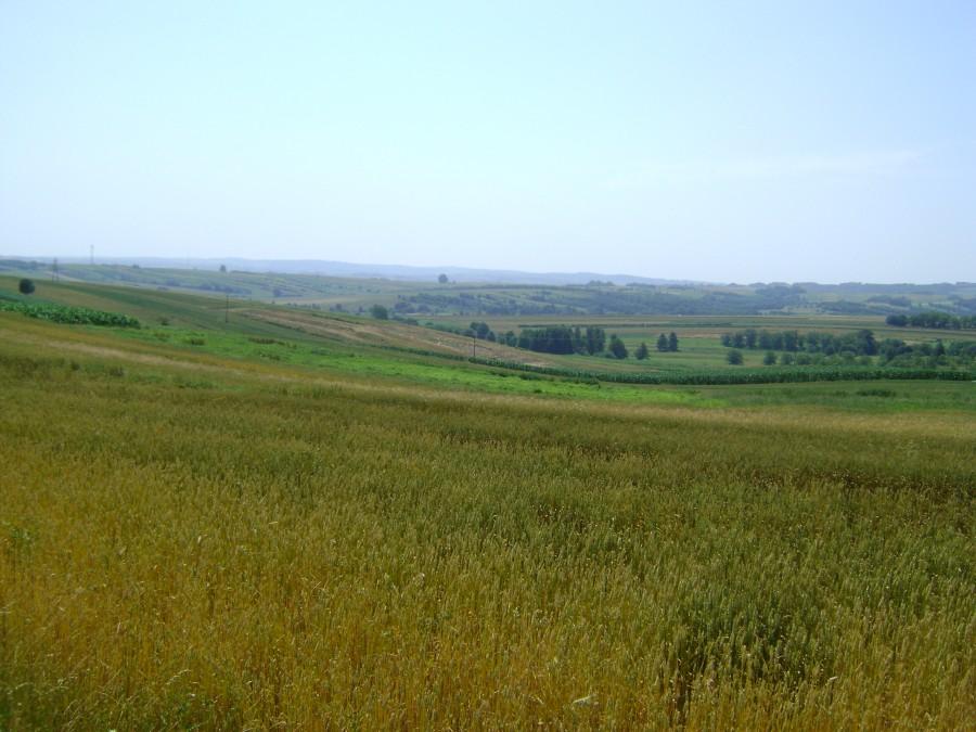 Ładne widoki w drodze do Łańcuta