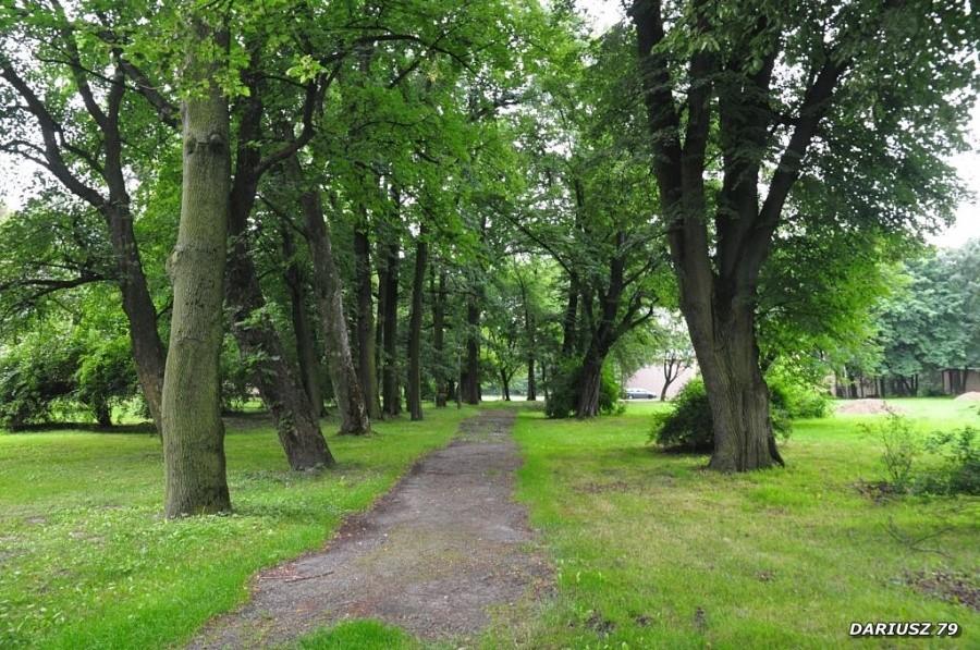 Wonicz - Park przy Pałac Dąmbskich