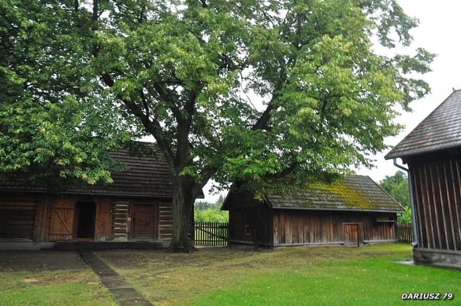 Muzeum Wincentego Witosa w Wierzchosławicach