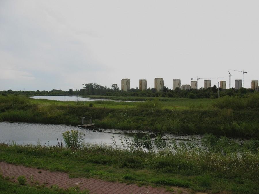 Jeziorko Czerniakowskie