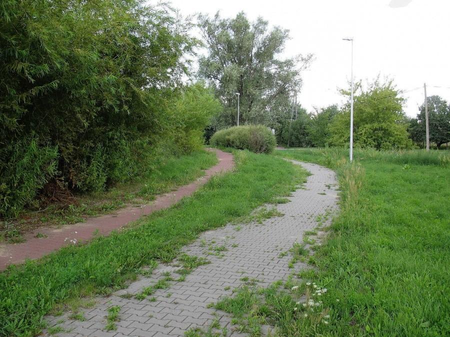 Ścieżka rowerowa na ul. Wolickiej