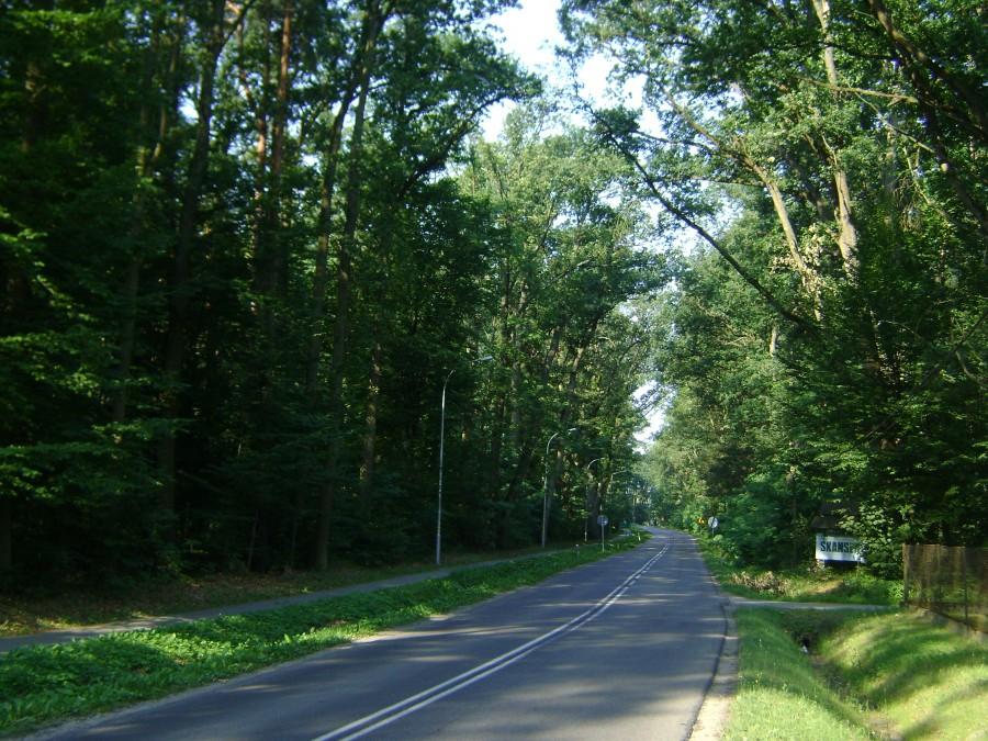 Droga na Kolbuszową