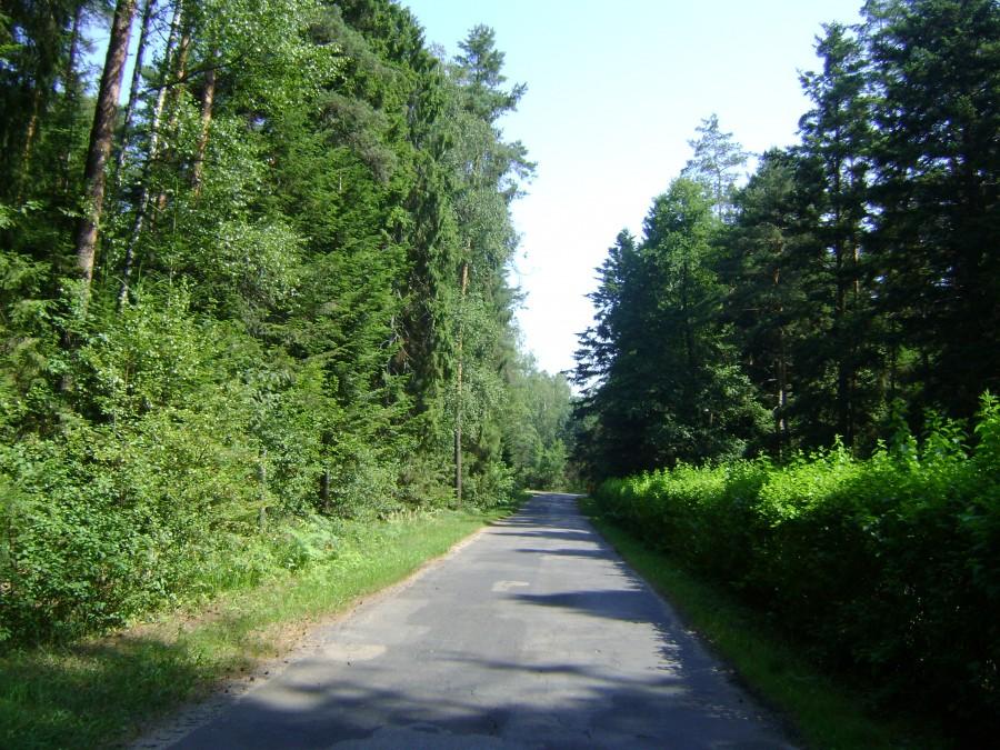 Lasy Janowskie
