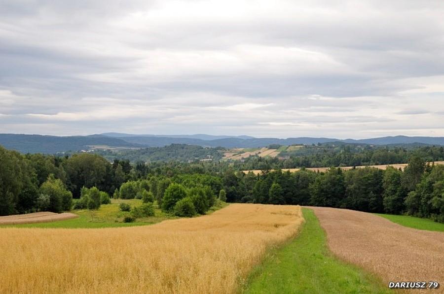Pogórze Wiśnickie