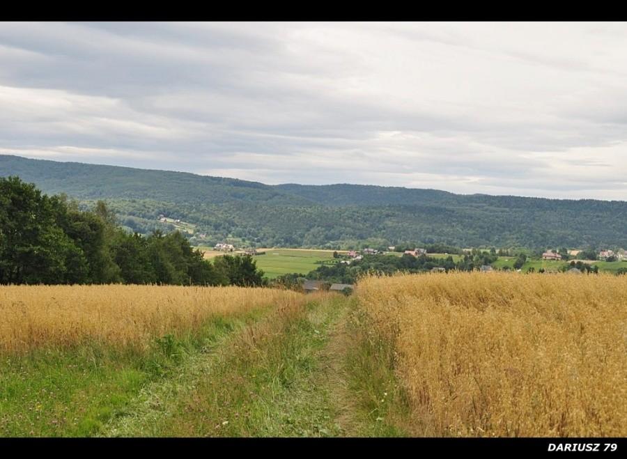 Pogórze Wiśnickie