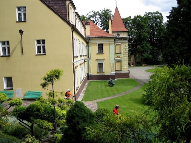 Widok z góry