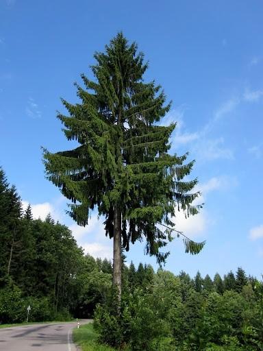 W drodze na Suchy Vrch