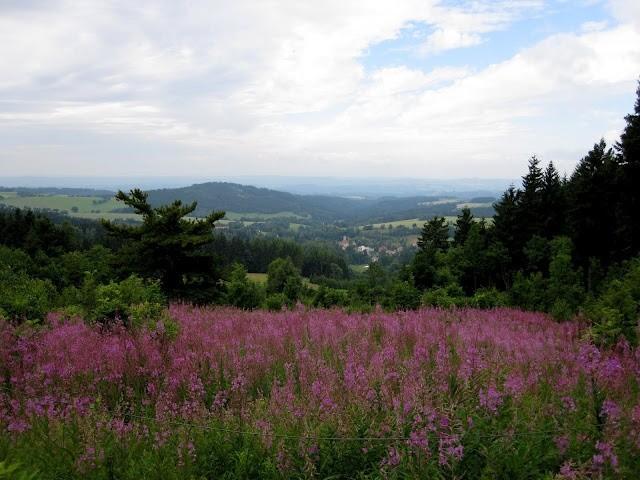 Piękny widok