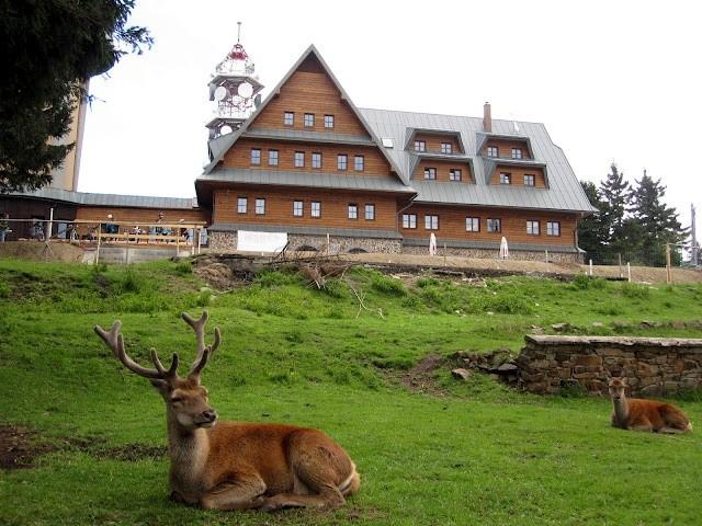 Suchy Vrch