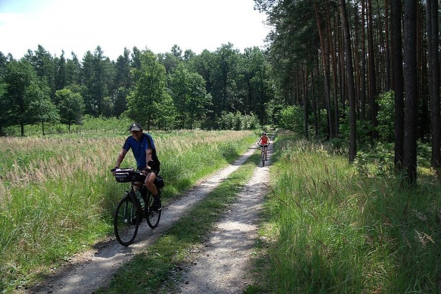 Po drugiej stronie jeziora droga oddala się od jeziora i wiedzie lasem