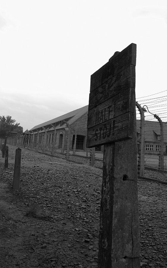 Auschwitz - tabliczka