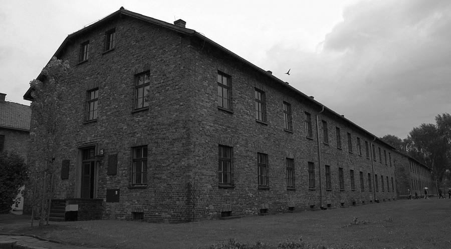 Auschwitz - blok 15