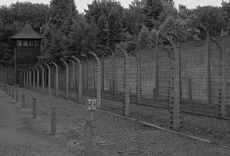 Auschwitz - ogrodzenie