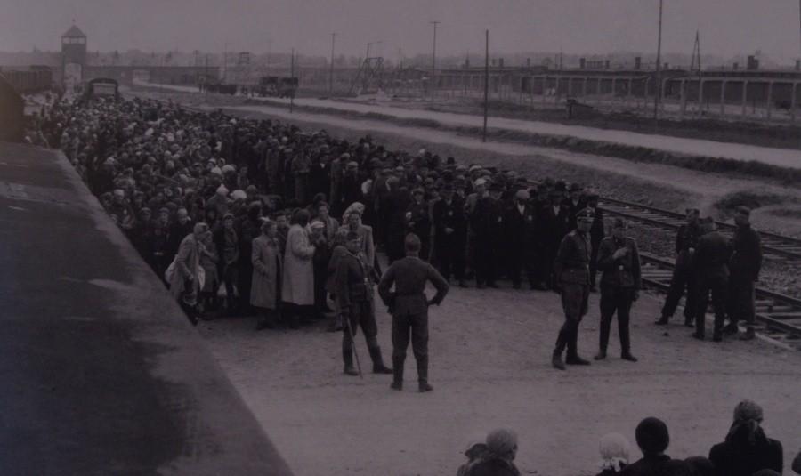 Birkenau - selekcja