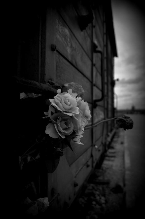 Birkenau - pamiętamy...