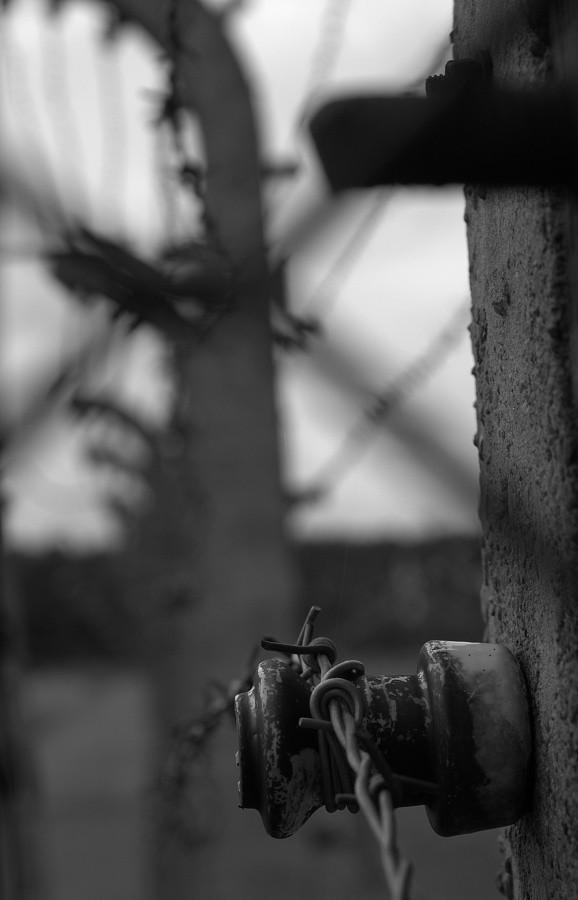 Birkenau - zasieki