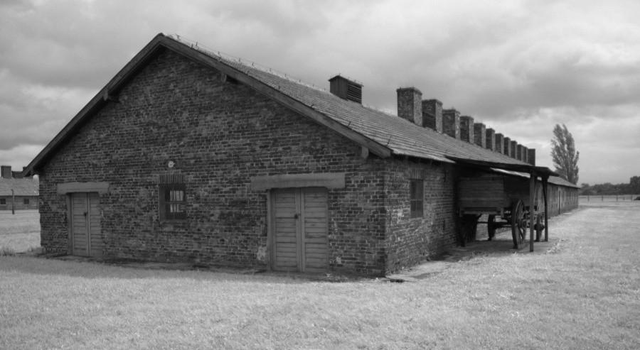 Birkenau - zabudowa