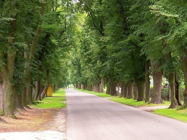 Aleja Lipowa im. Fryderyka Chopina