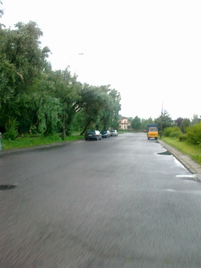 Drzeworytników