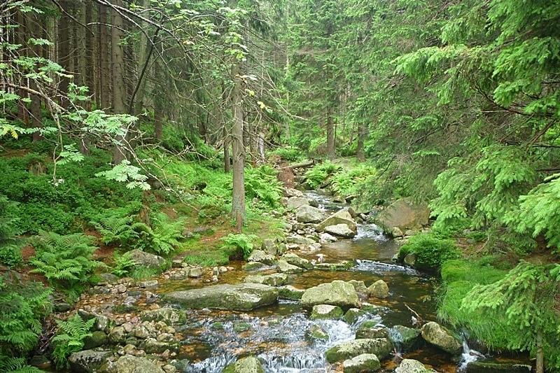 Potoczek, chwila orzeźwienia