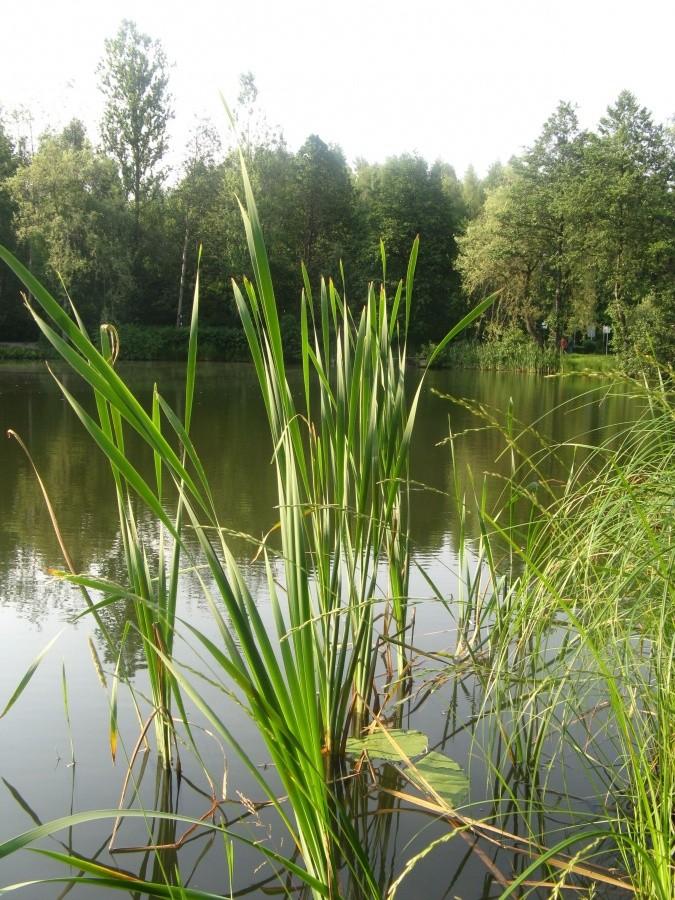 Na Janinie ;-)
