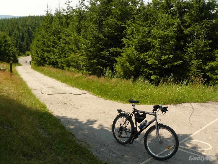 Ostatni etap drogi do schroniska na Malym Javorovym - stromo ;)