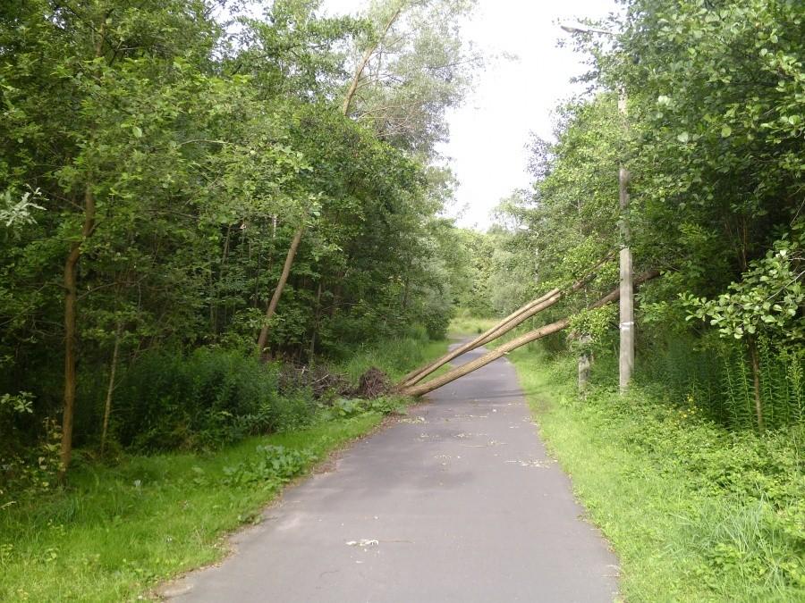Powalone drzewo na ścieżce na dolinę 3-ch stawów