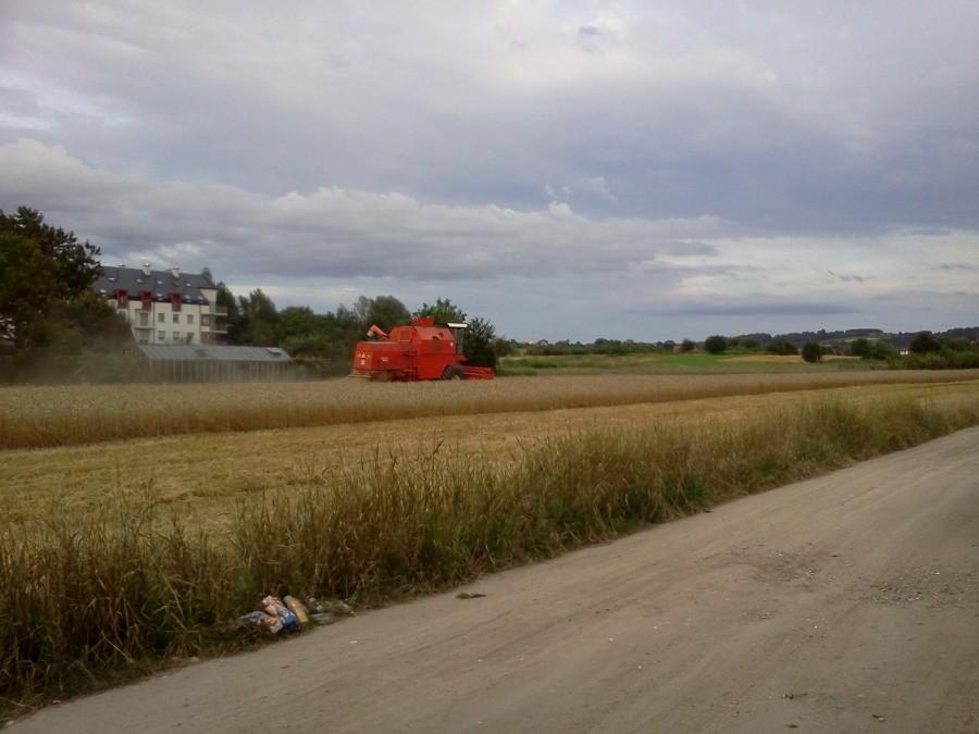 Żniwa czas zacząć.