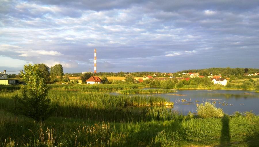 Przystanek przed Rokitkami