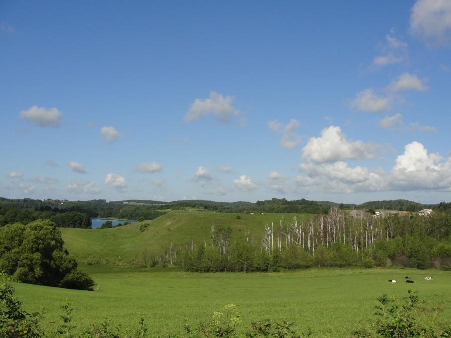 okolice Jeleniewa