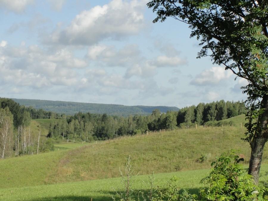okolice Jeleniewa