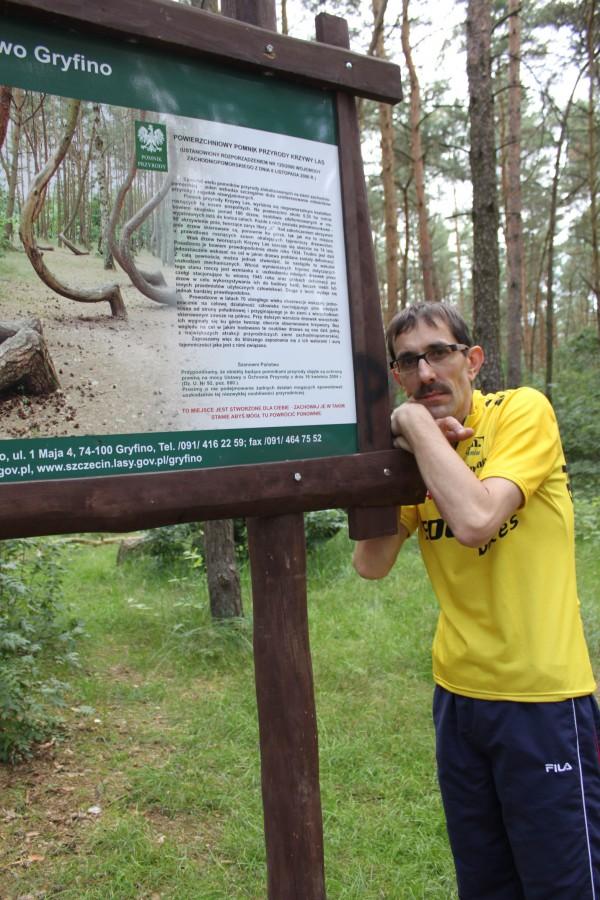 Krzywy Las na południu Gryfina