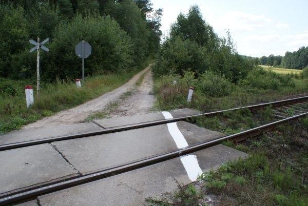 pokrywa się on z czerwonym rowerowym i prowadzi do Rezerwatu Hodowli Żubrów