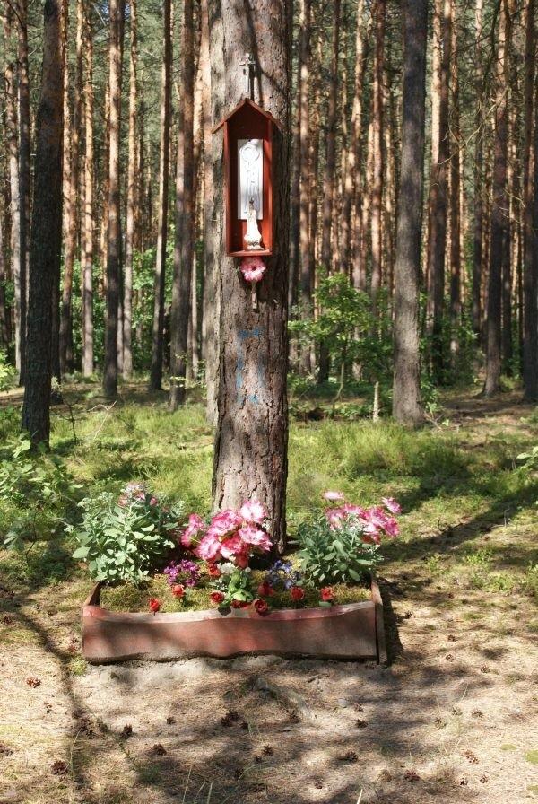 mijam kapliczki po drodze, jedną