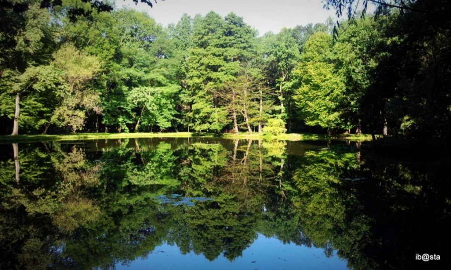 Park Zielona