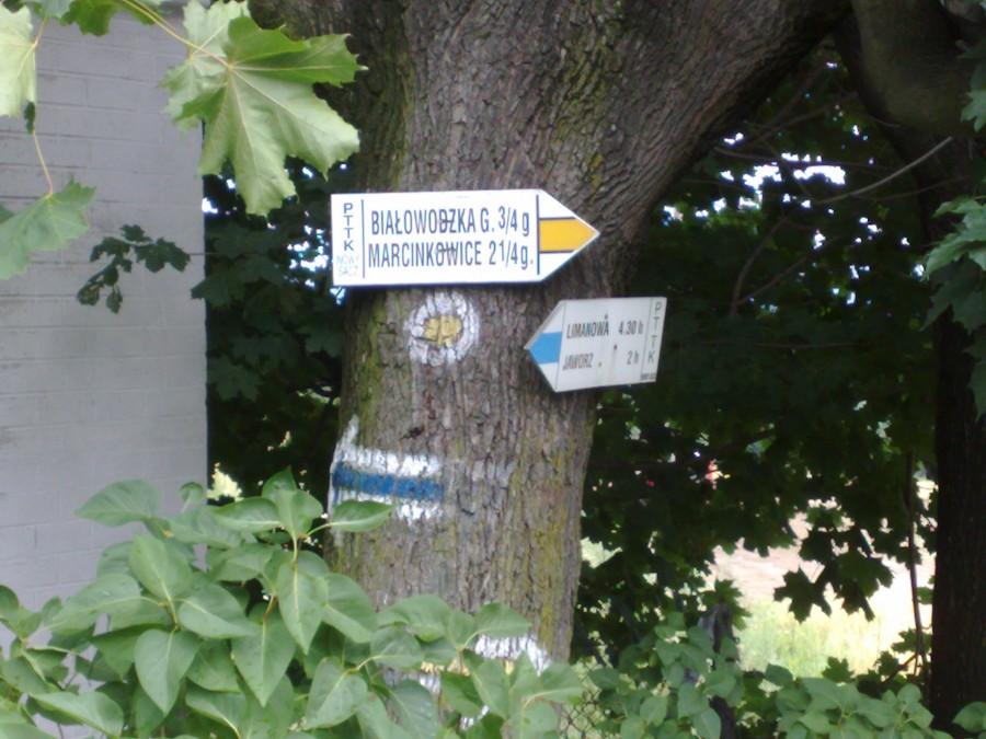 Zjechałem z zółtego szlaku