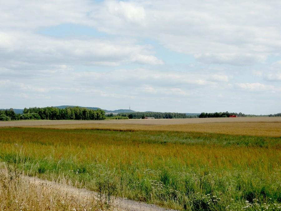 Zagadkowa wieża