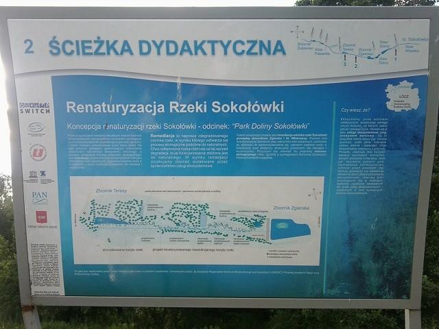Renaturyzacja rzeki Sokołówki