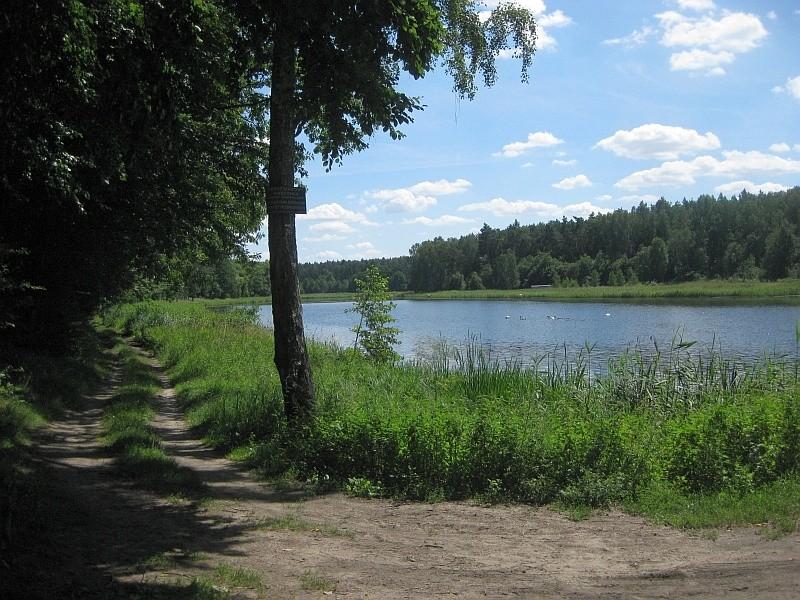 Wierzonka - stawy hodowlane