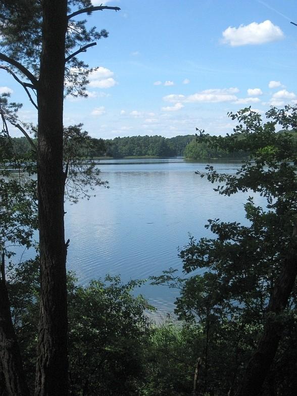 Jezioro Kowalskie - widok na zachodnią część jeziora