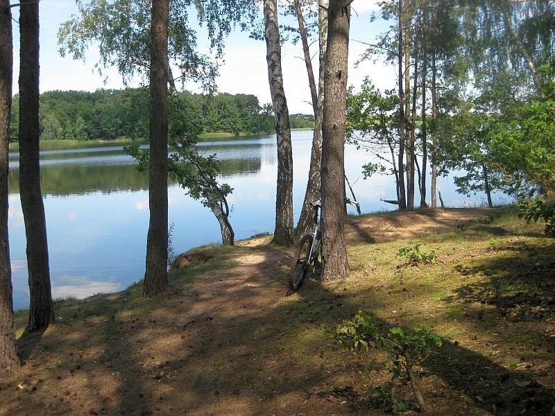 ścieżka przy brzegu