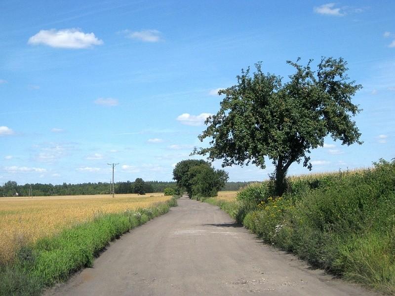 droga szutrowa Jerzykowo - Wronczyn