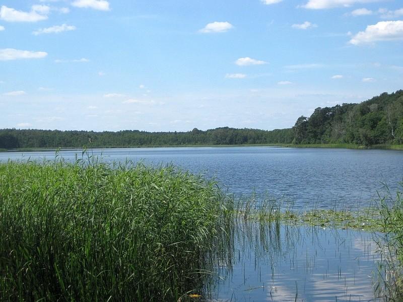 Jezioro Wronczyńskie Duże