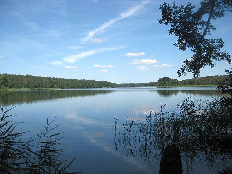 Jezioro Kołatkowskie - widok z Tuczna