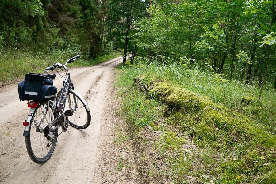 leśna ścieżka rowerowa do Owczarni
