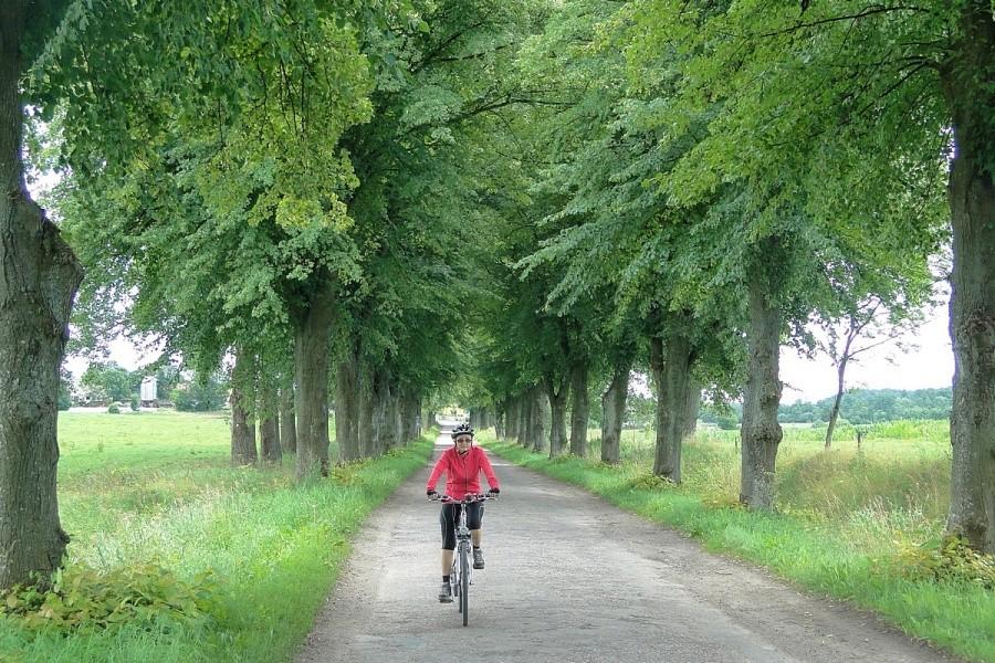 Ładna droga