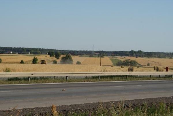 żniwa, nie za wcześnie?