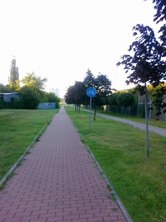 Ścieżka przy Trasie Toruńskiej