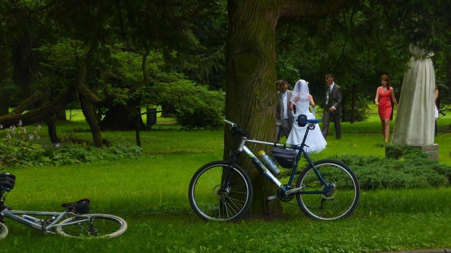 Park w Gołotczyźnie
