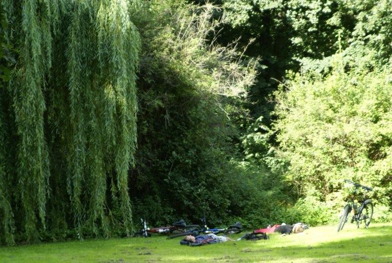 Park w Falentach by Robert